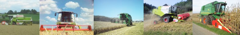 Bolzli Transport AG - Lohnarbeiten - Maisdreschen